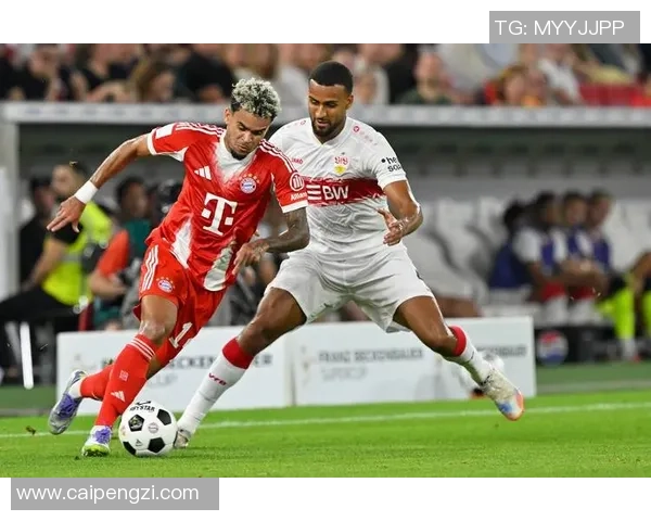 拜仁慕尼黑足球明星全名单及其成就分析与历史回顾